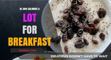 Is 360 Calories a Healthy Breakfast Choice for You?