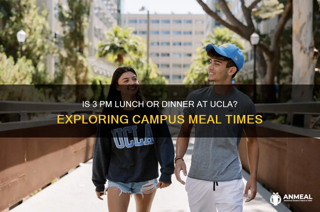 is 3pm considere lunch or dinner ucla