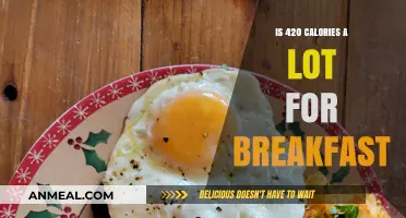Is 420 Calories a Healthy Breakfast Choice for You?