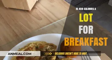 Is 450 Calories a Healthy Breakfast Choice for You?
