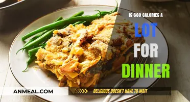 Is 600 Calories for Dinner Too Much or Just Right?