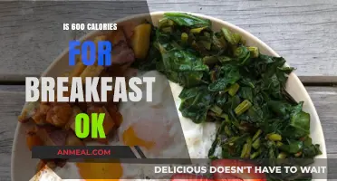 Is a 600-Calorie Breakfast Healthy or Excessive for You?