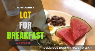Is 700 Calories for Breakfast Healthy or Excessive?