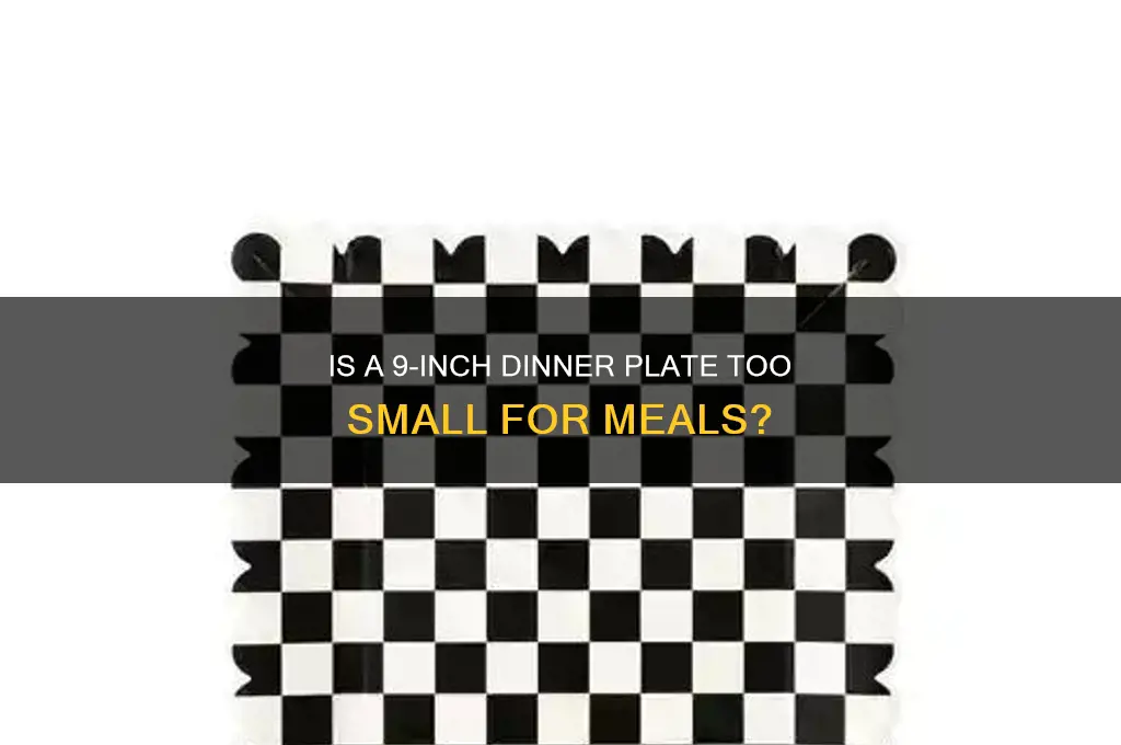 is 9 too mall for dinner plate