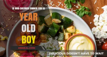 Is a 980-Calorie Dinner Suitable for a 12-Year-Old Boy?