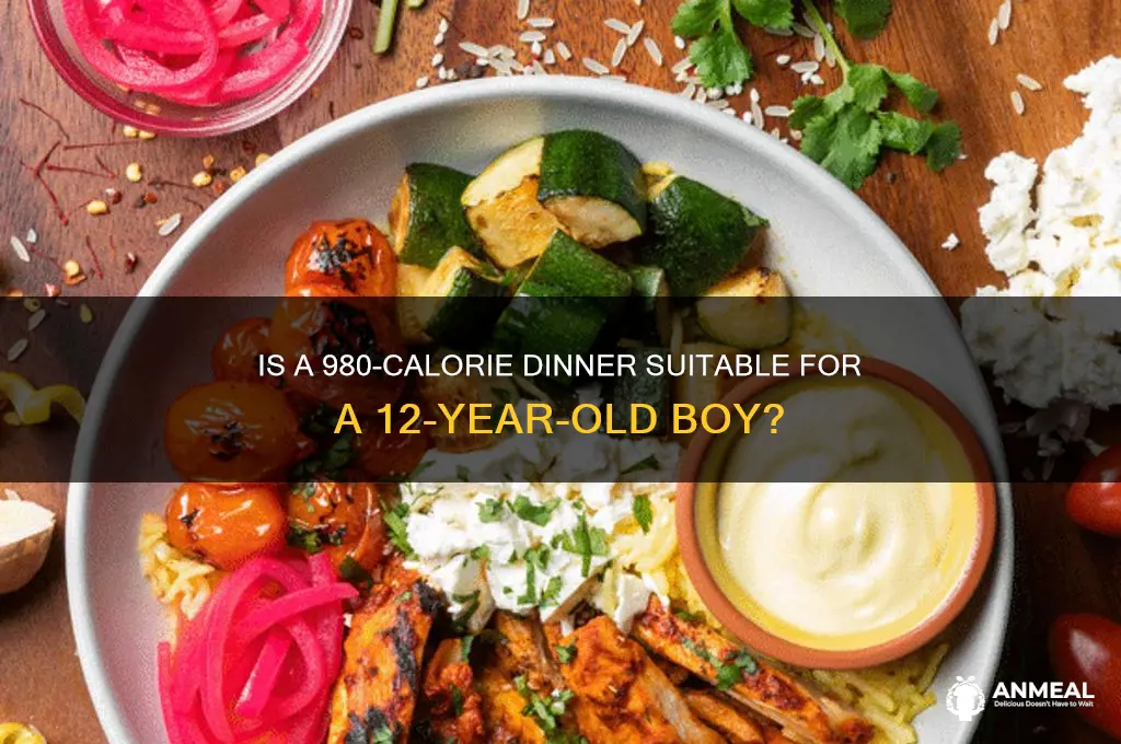 is 980 calories dinner for 12 year old boy