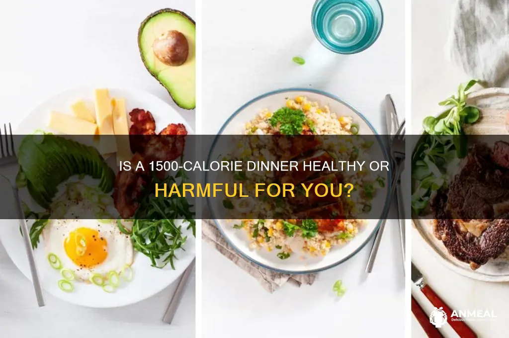 is a 1500 calories dinner fine
