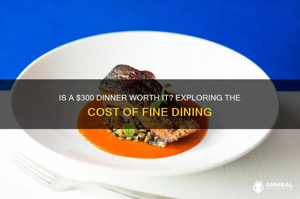 is a 300 dollar dinner a lot