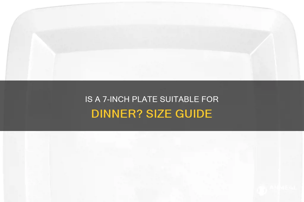 is a 7 inch plate a dinner plate