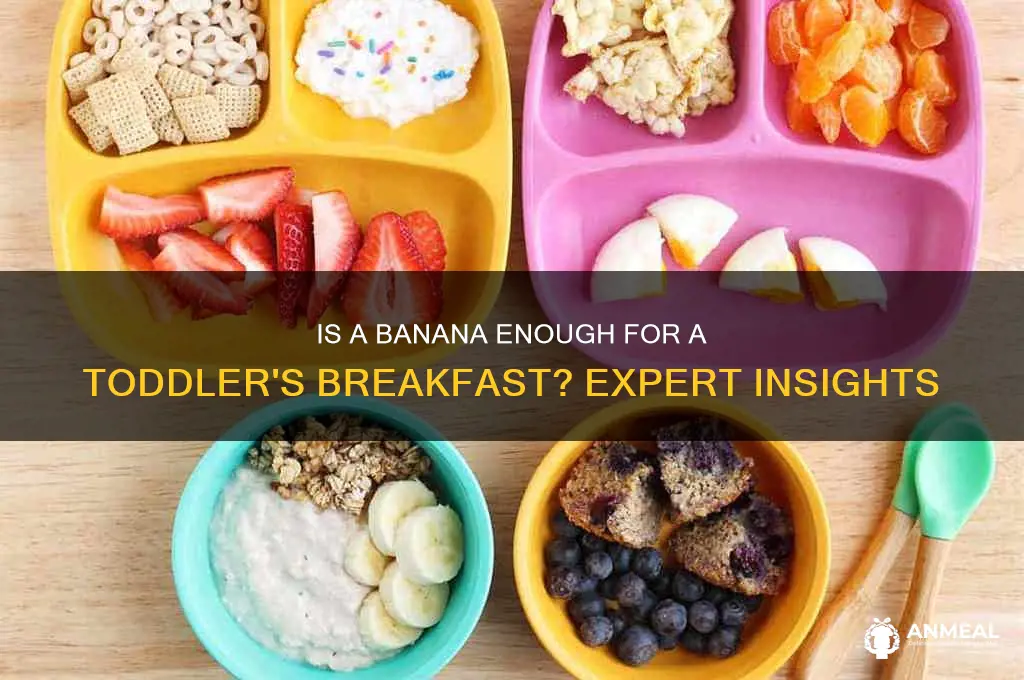 is a banana enough for breakfast for a toddler