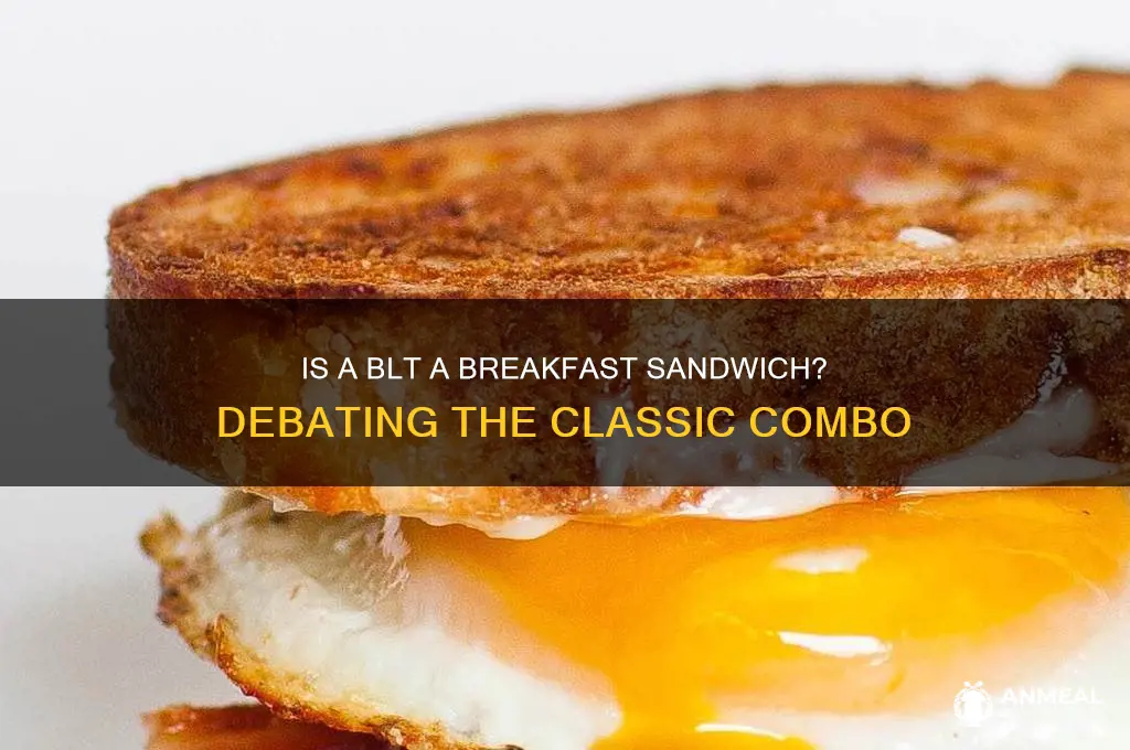 is a blt a breakfast sandwich