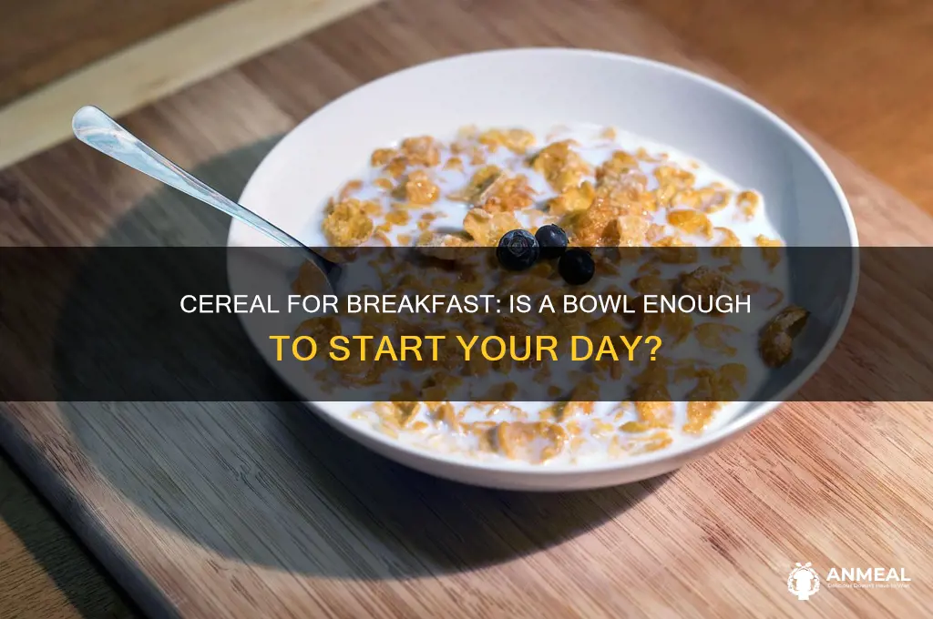 is a bowl of cereal enough for breakfast