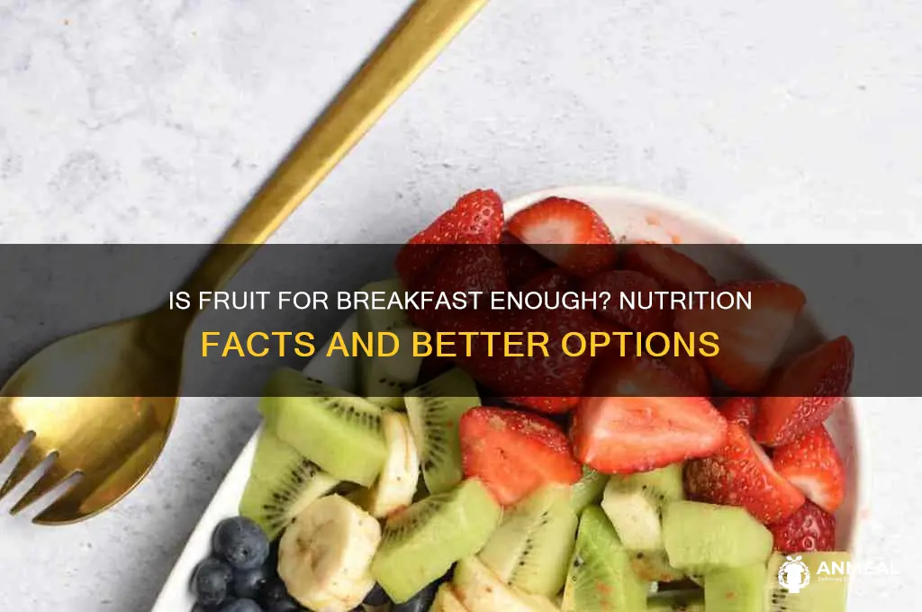 is a bowl of fruit enough for breakfast