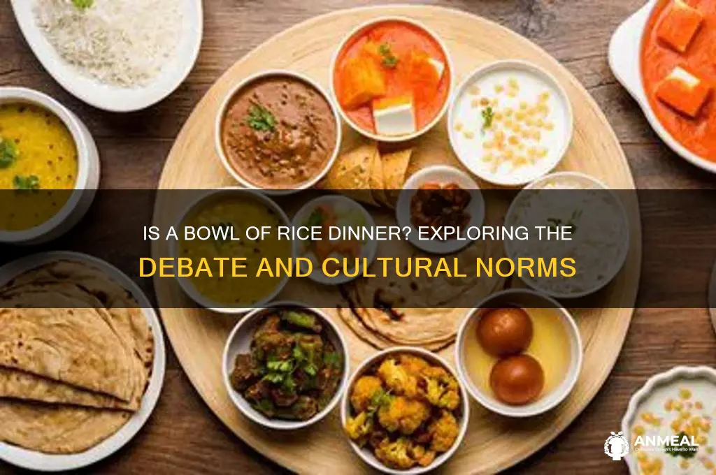is a bowl of rice dinner