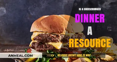 Is a Cheeseburger Dinner a Resource? Exploring Food as Sustenance