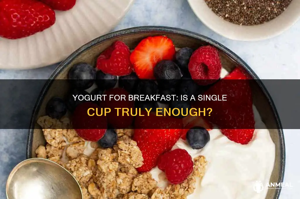 is a cup of yogurt enough for breakfast