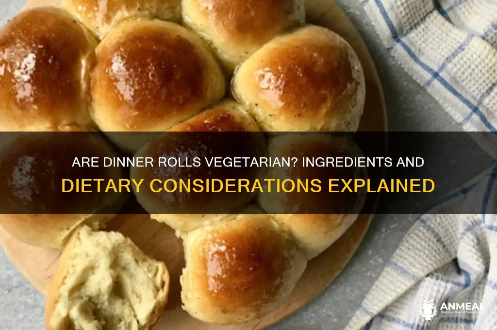 is a dinner roll vegitarian