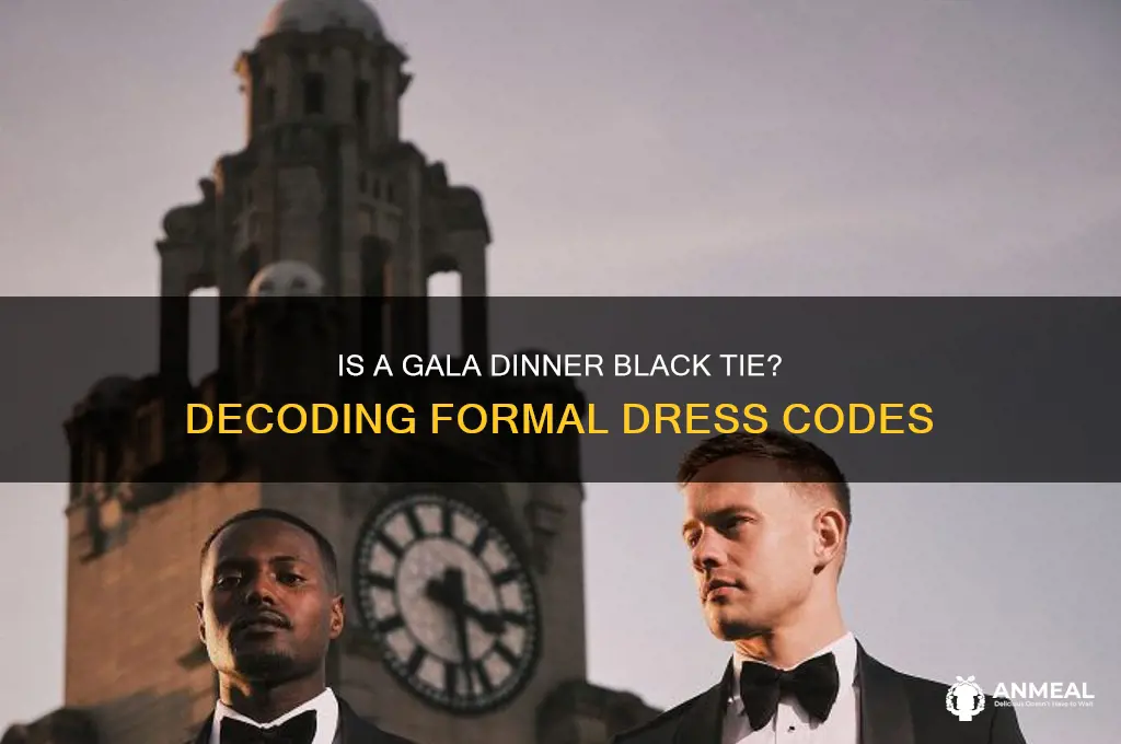 is a gala dinner black tie