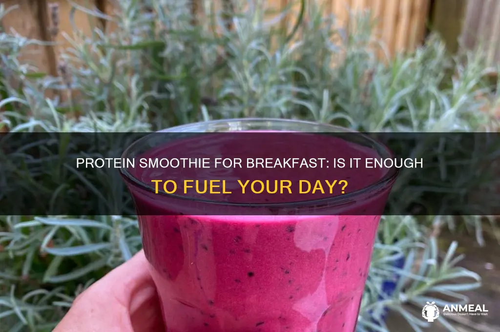 is a protein smoothie enough for breakfast