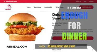 Is a Sandwich Enough for Dinner? Balancing Nutrition and Satisfaction