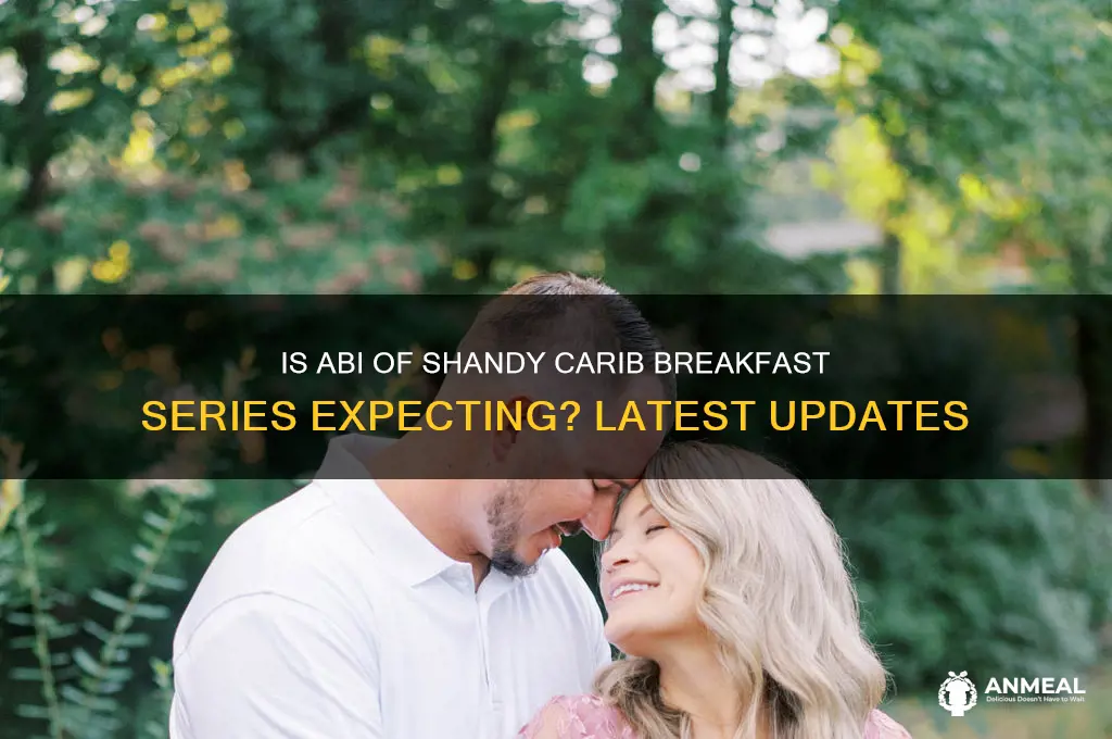 is abi of shandy carib breakfast series pregnant