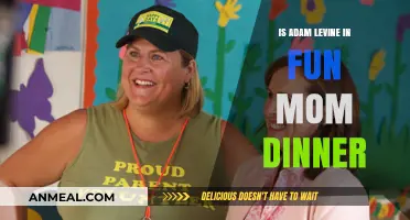 Is Adam Levine in Fun Mom Dinner? Unraveling the Cast Mystery
