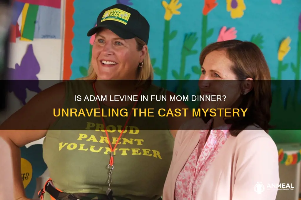 is adam levine in fun mom dinner