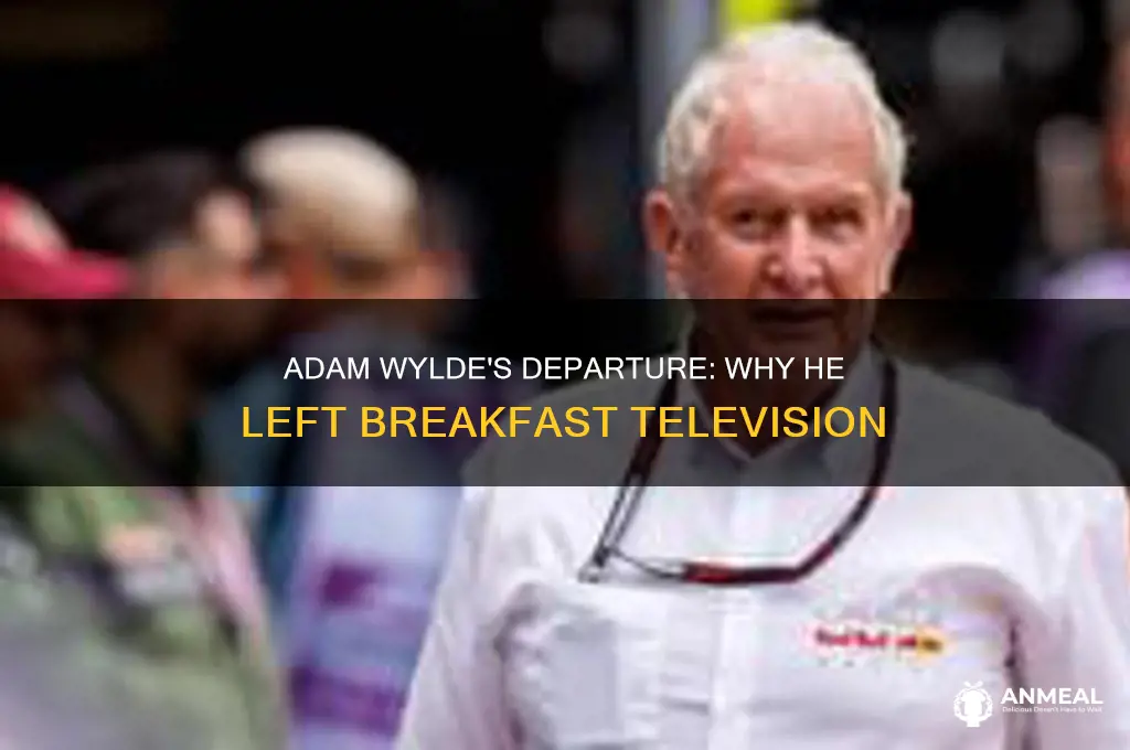 is adam wylde no longer on breakfast television