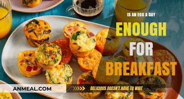 Is One Daily Egg Sufficient for a Balanced Breakfast?