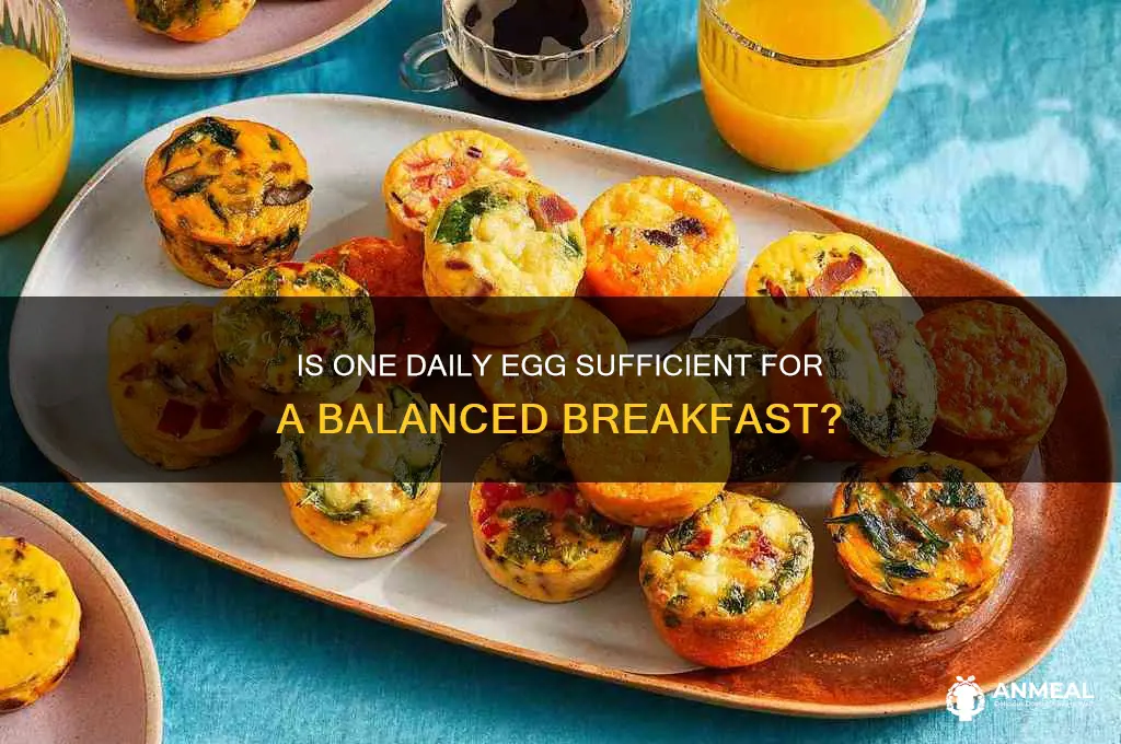 is an egg a day enough for breakfast