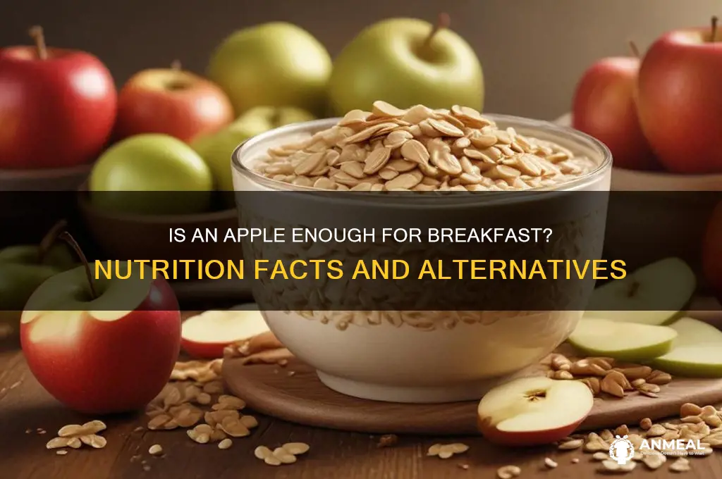 is apple enough for breakfast