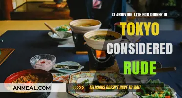 Is Arriving Late for Dinner in Tokyo Considered Rude?