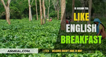 Assam Tea vs. English Breakfast: Unraveling the Flavor Differences