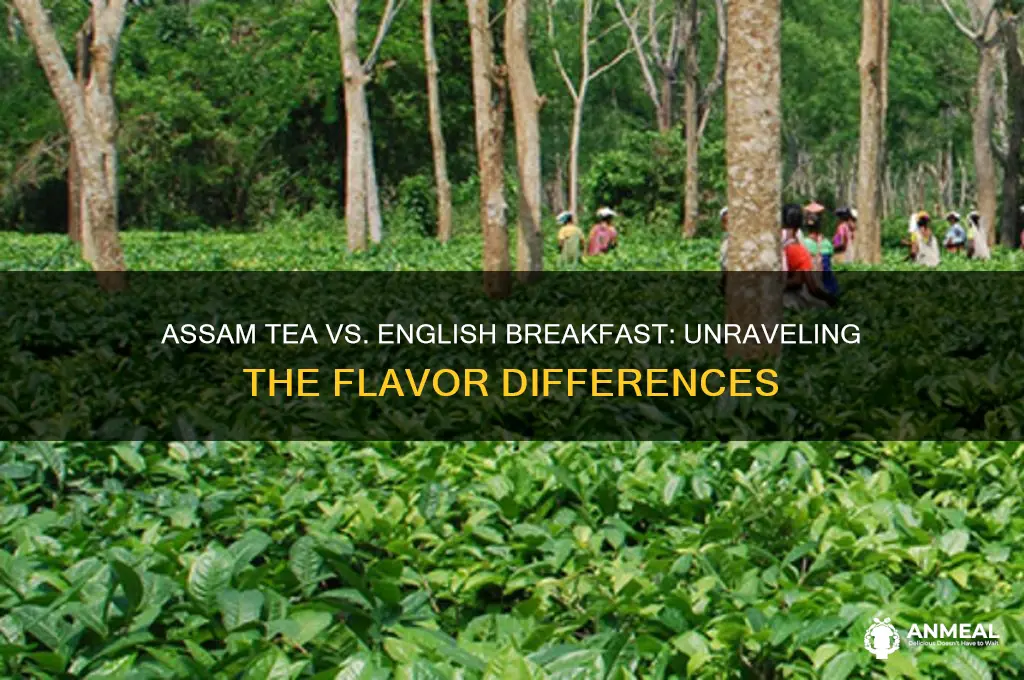 is assam tea like english breakfast
