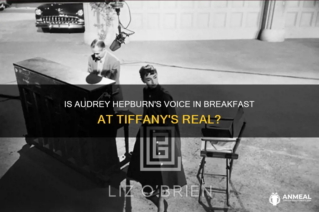is audrey hepburn singing in breakfast at tiffany