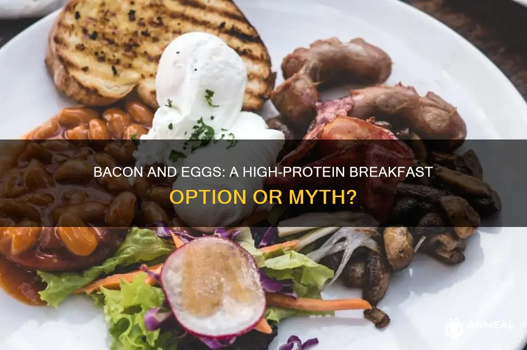 is bacon and eggs a high protein breakfast