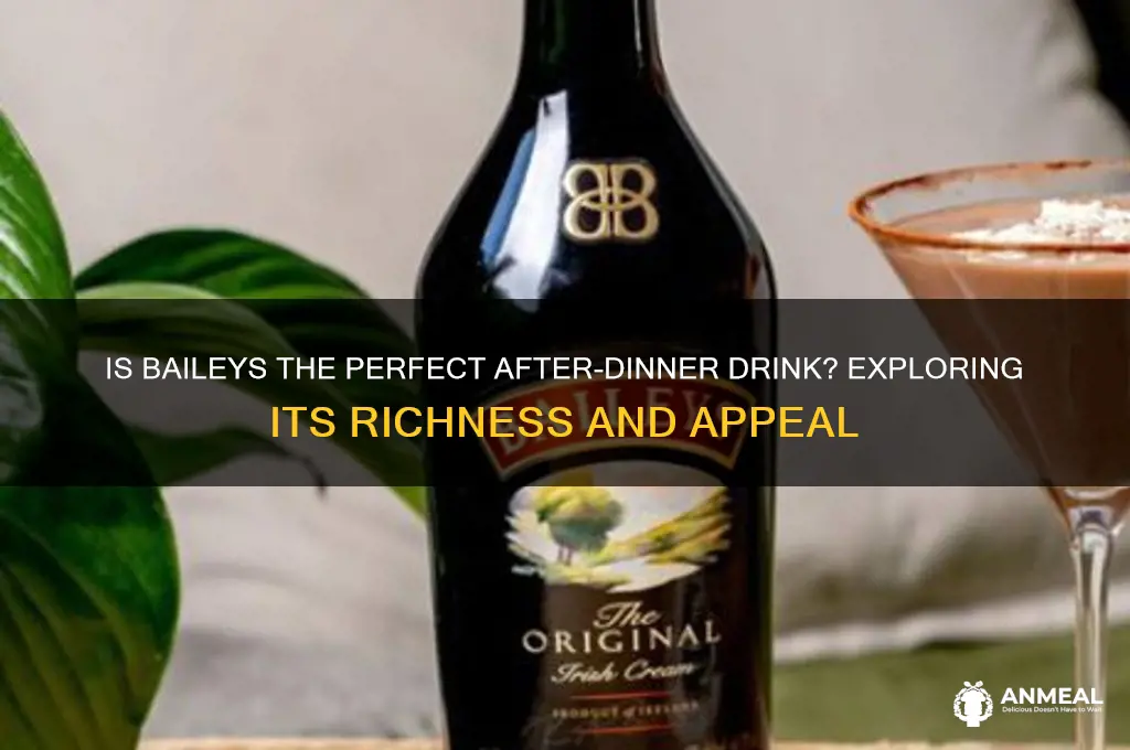 is baileys an after dinner drink
