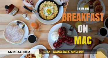 Is Bear and Breakfast Available on Mac? A Comprehensive Guide