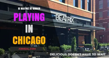 Beatriz at Dinner Chicago Showtimes: Where and When to Watch