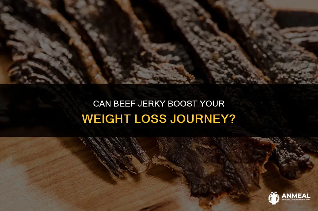 is beef jerky good for losing weight