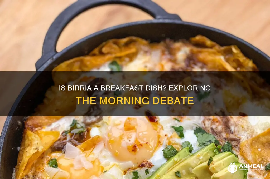 is birria breakfast