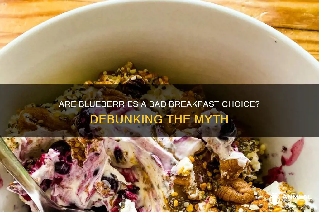 is blueberries bad for breakfast