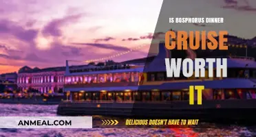 Bosphorus Dinner Cruise: A Memorable Experience or Overrated Adventure?