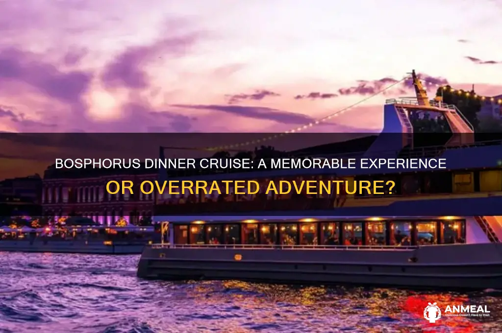 is bosphorus dinner cruise worth it