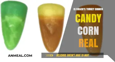 Brach's Turkey Dinner Candy Corn: Real or Just a Seasonal Myth?