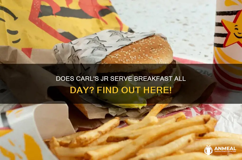 is breakfast 24 hrs at carl
