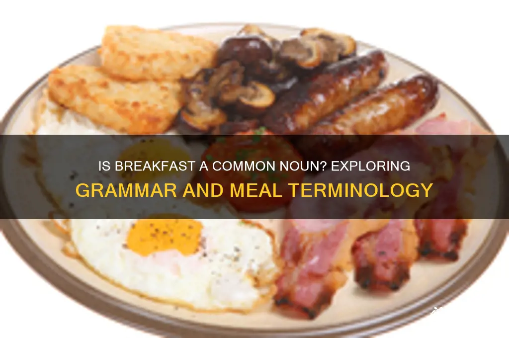 is breakfast a common noun