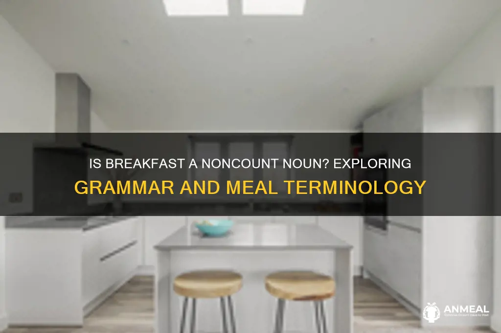 is breakfast a noncount noun