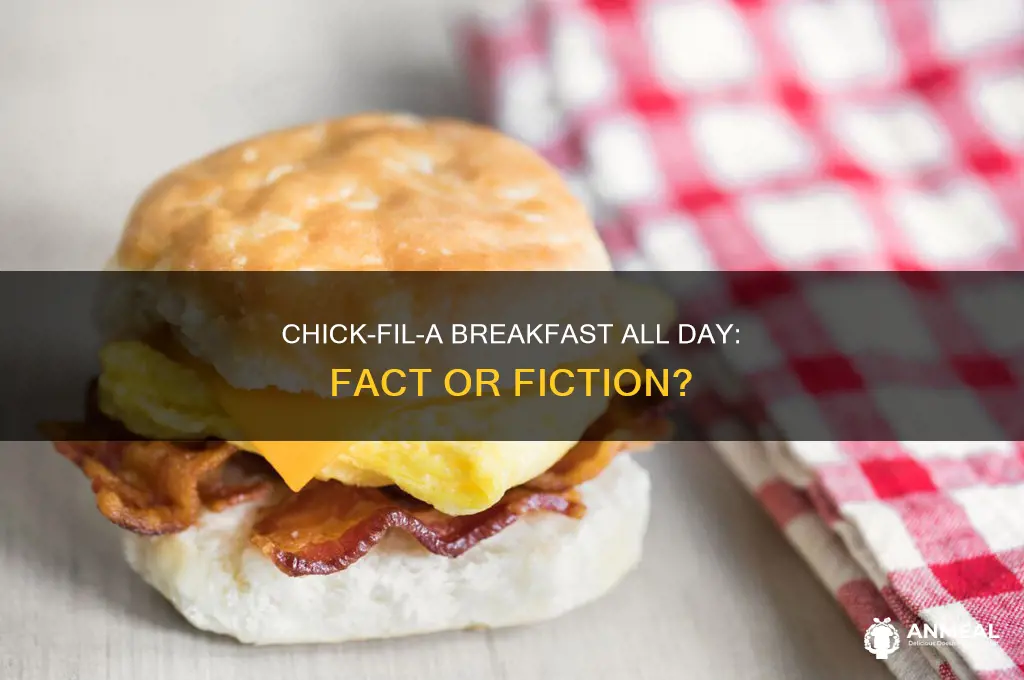 is breakfast all day at chick fil a