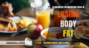 Breakfast's Role in Fat Loss: Myth or Essential Meal?